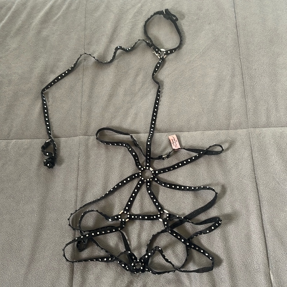 Agent Provocateur harness